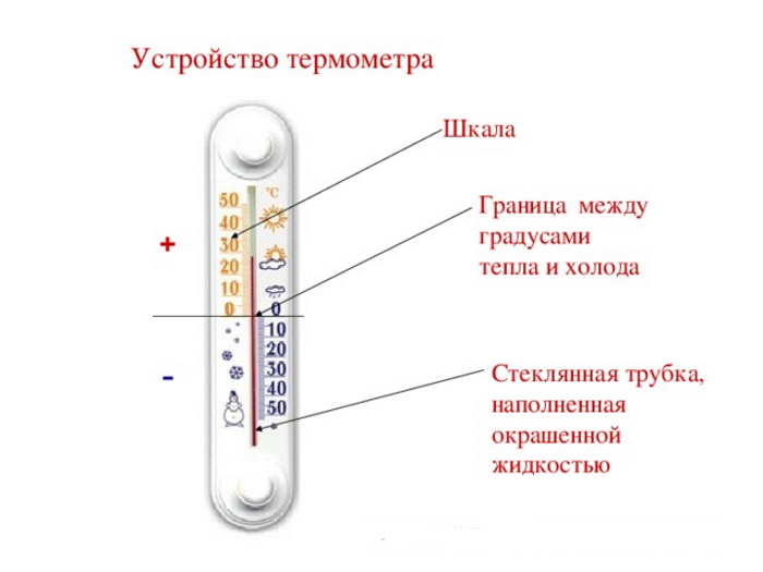 из каких частей состоит термометр