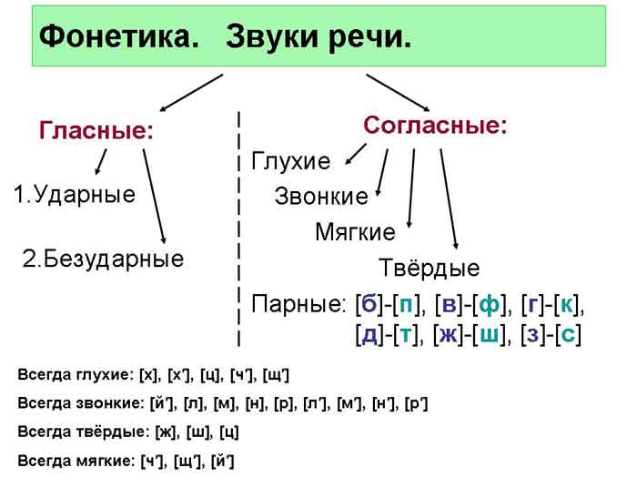 русский язык 5 класс правила правописания
