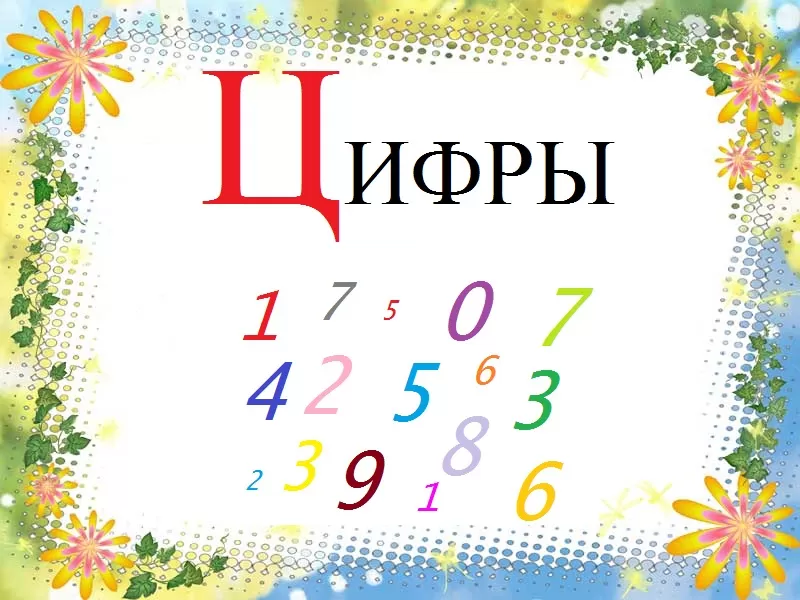 Стихи про букву Ц Стихи про букву Ц