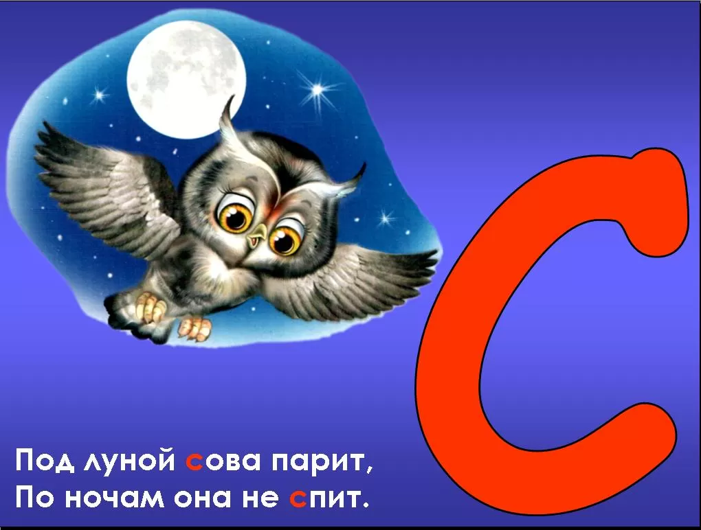 Стихи про букву С Стихи про букву С
