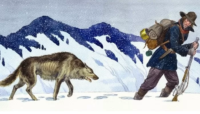 Волк Волк