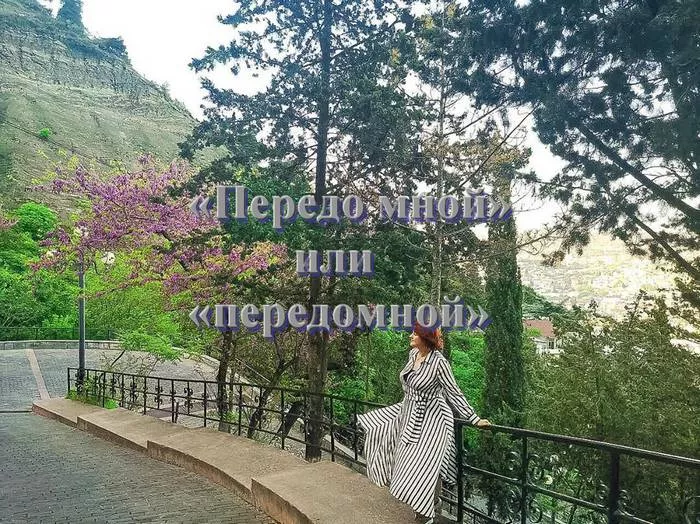 peredo-mnoy-ili-peredomnoy-1.jpg как правильно пишется передо мной