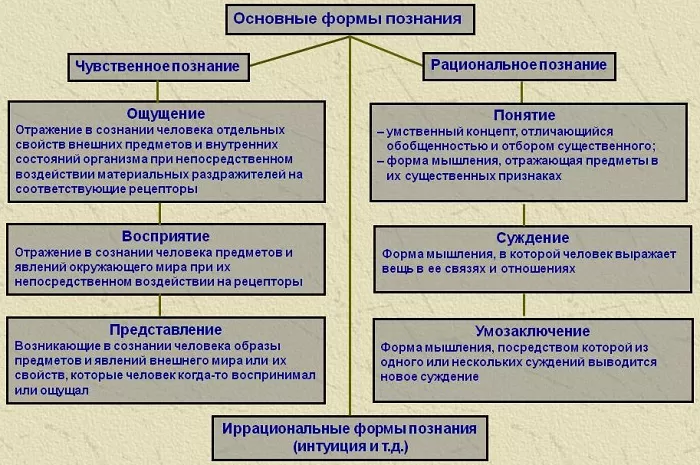 Чувственное и рациональное познание Чувственное и рациональное познание