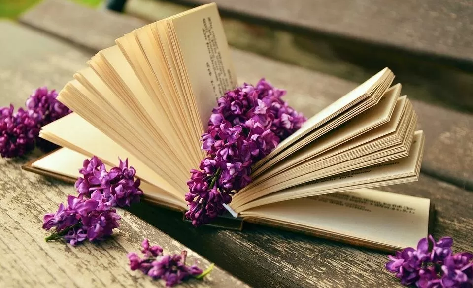 О книгах О книгах