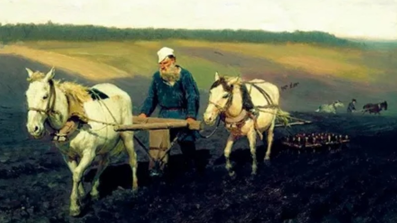 черносошные и владельческие крестьяне