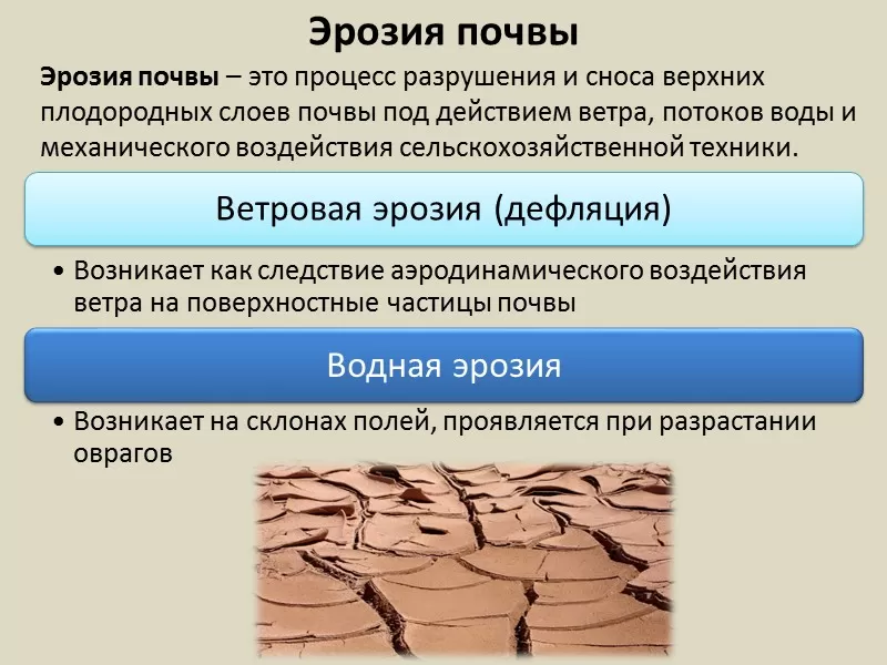 Эрозия Эрозия