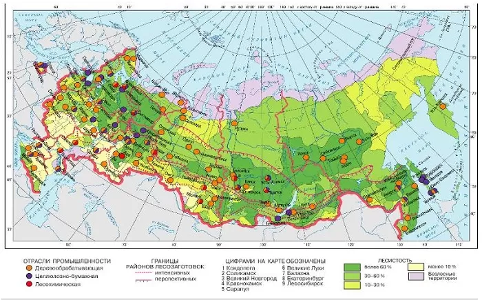 Лесная промышленность России Лесная промышленность России