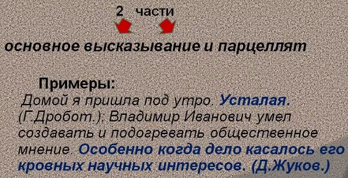 Парцелляция строение Парцелляция строение