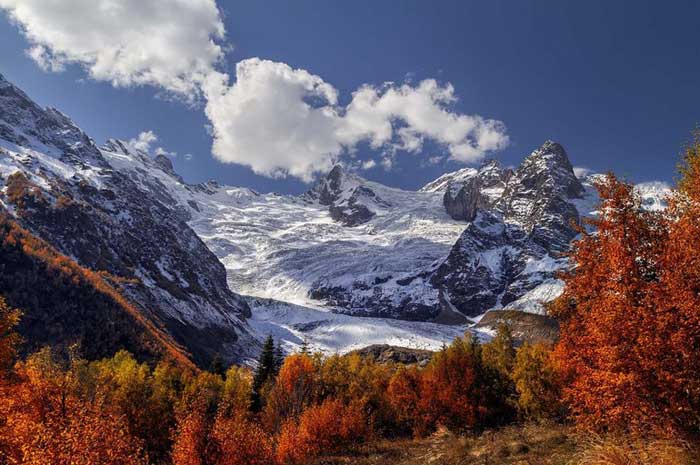 природные зоны в горах кавказа