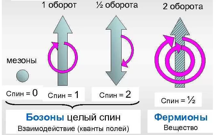 Классификация элементарных частиц по спину Классификация элементарных частиц по спину
