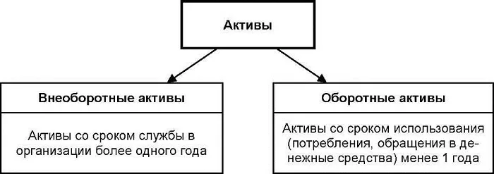 Оборотные и внеоборотные активы Оборотные и внеоборотные активы