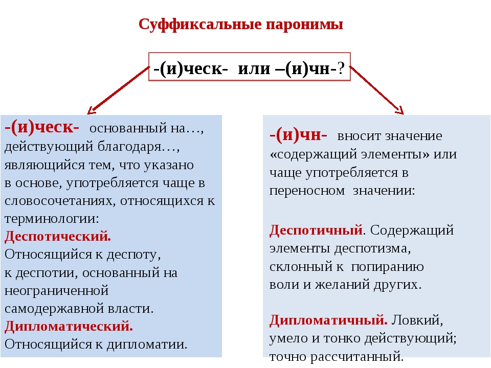 Паронимы презентация 11 класс егэ