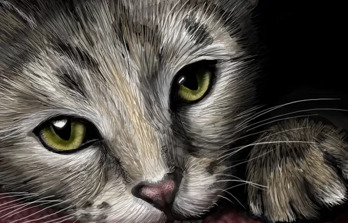 Кошка Кошка