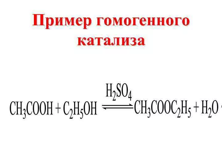 катализатор скорости химической реакции