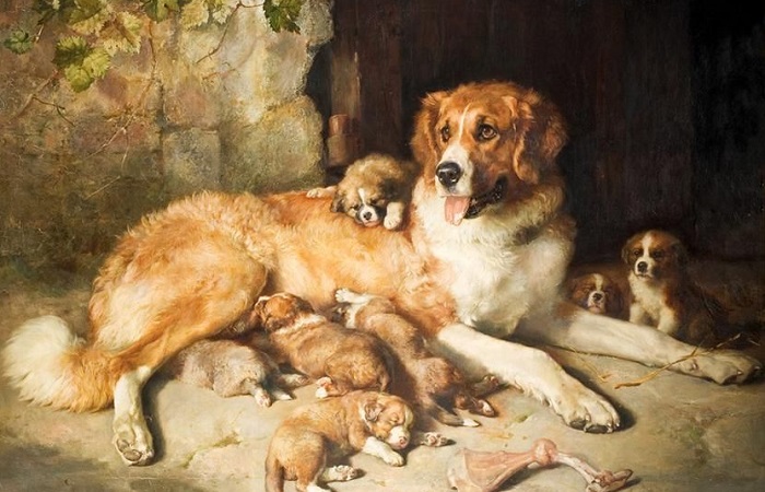 Собака с щенятами