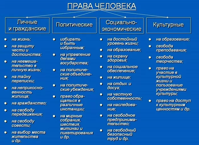 Виды прав человека Виды прав человека