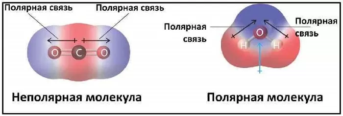 Полярность молекул Полярность молекул