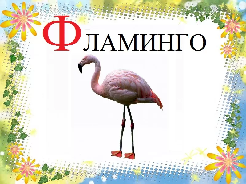 Стихи про букву Ф Стихи про букву Ф