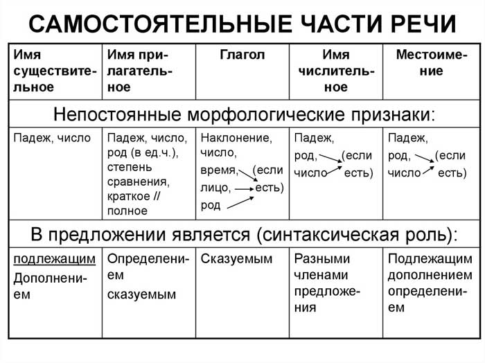 важные правила русского языка 7 класс