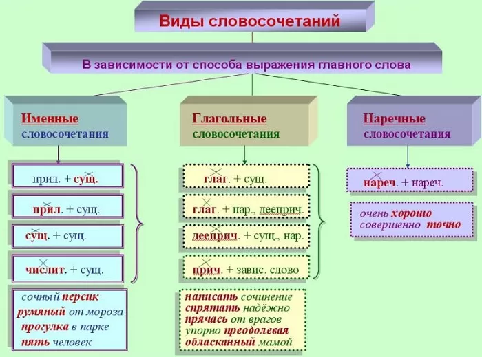 Виды словосочетаний Виды словосочетаний