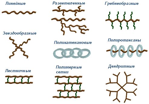 Виды молекул полимеров
