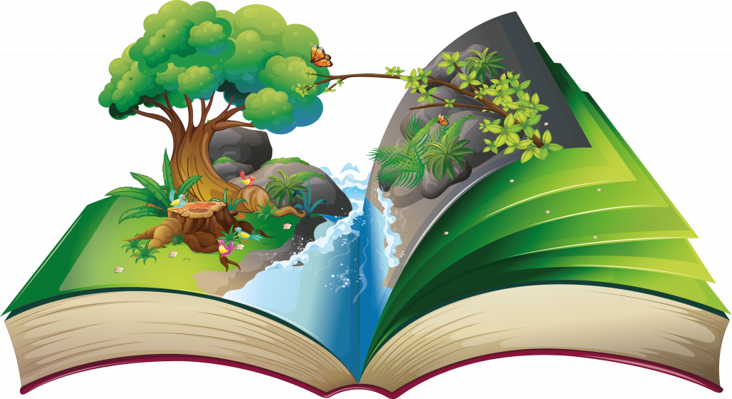 Книга Книга
