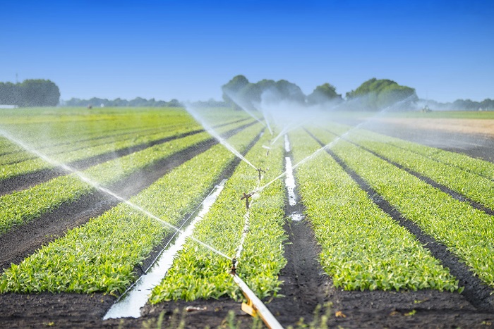 Вода в сельском хозяйстве