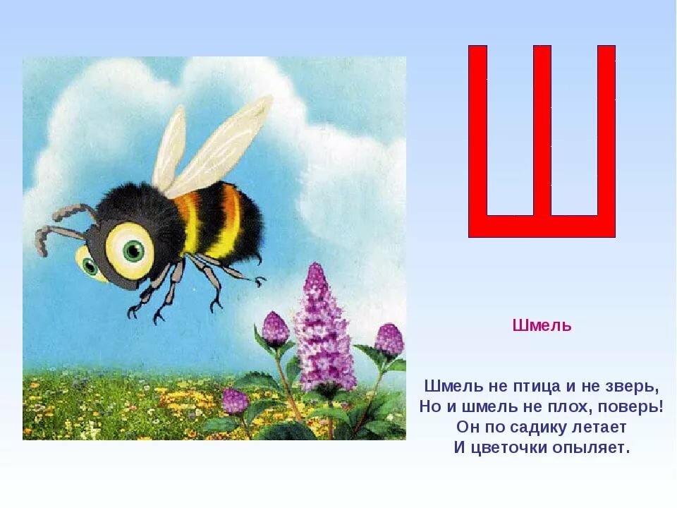 Слоги слова шмель. Стих про букву ш. Стихотворение про шмеля для детей. Загадка про букву ш. Буква ш стихи для детей.