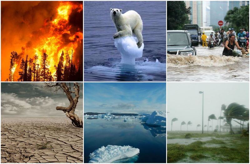 проблема глобального потепления