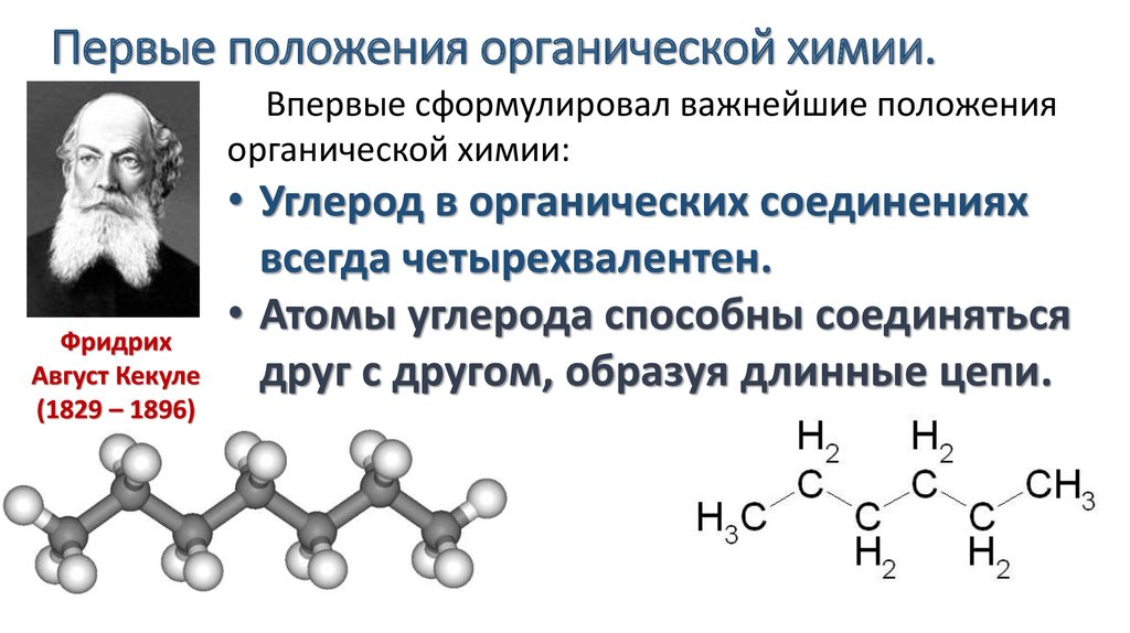 Первые положения органической химии