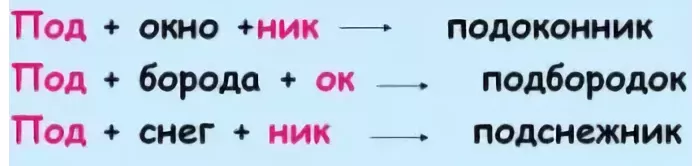 Существительные Существительные