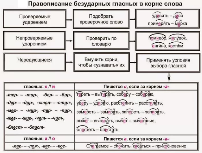 Безударные гласные в корне слова Безударные гласные в корне слова