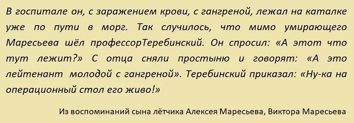Воспоминания сына Маресьева Воспоминания сына Маресьева