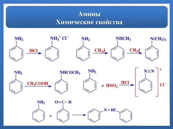 Химические свойства аминов Химические свойства аминов