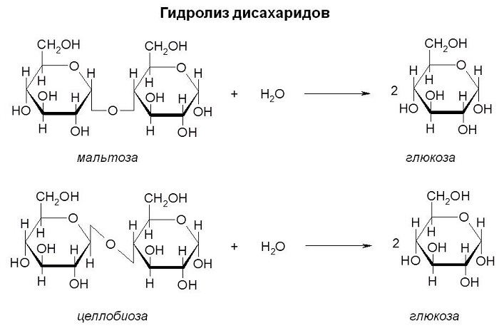 Гидролиз дисахаридов