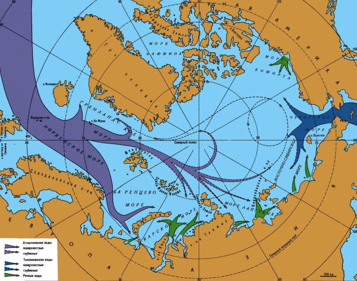 основные течения северного ледовитого океана