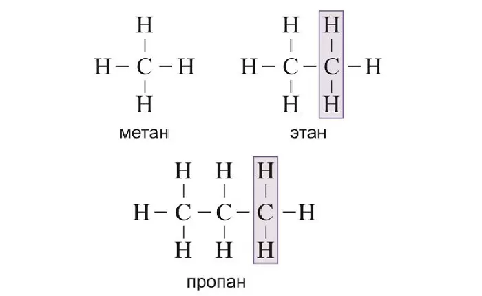 Гомологический ряд Гомологический ряд