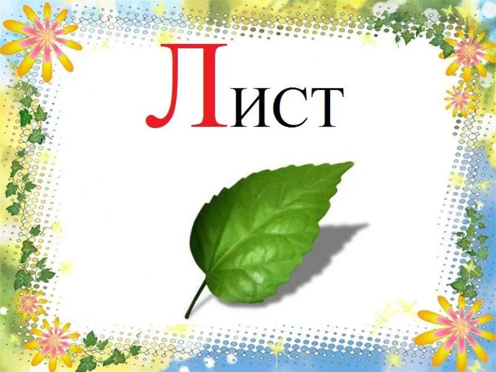 Стихи про букву Л Стихи про букву Л