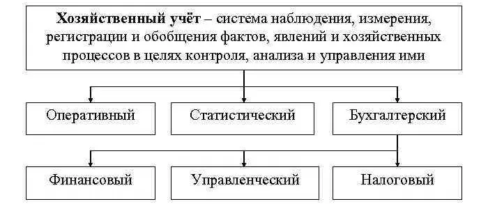 Хозяйственный учет и его виды Хозяйственный учет и его виды