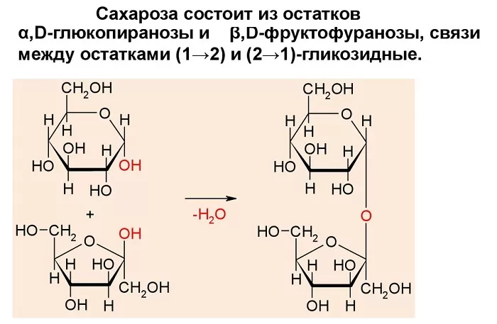 Гидролиз сахарозы