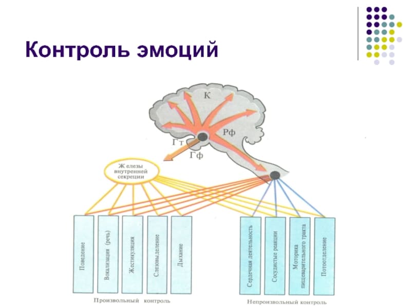 как контролировать свои эмоции и управлять ими