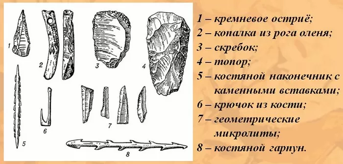 Орудия труда мезолита Орудия труда мезолита