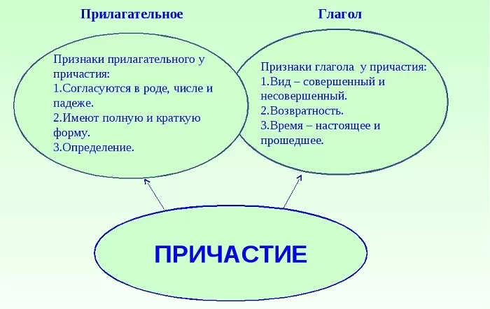 Признаки причастия Признаки причастия
