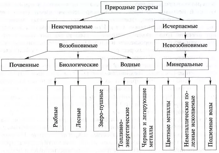 Виды природных ресурсов Виды природных ресурсов