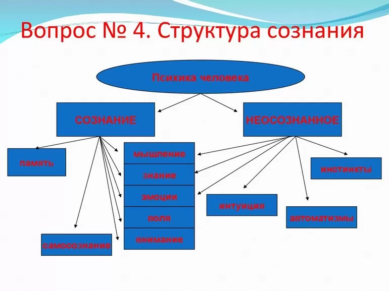 Происхождение сознания