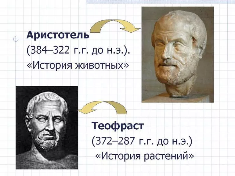 Факты из истории