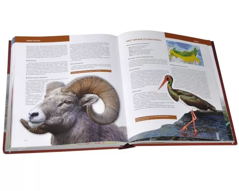 Красная книга