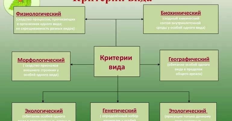 Физиологический критерий