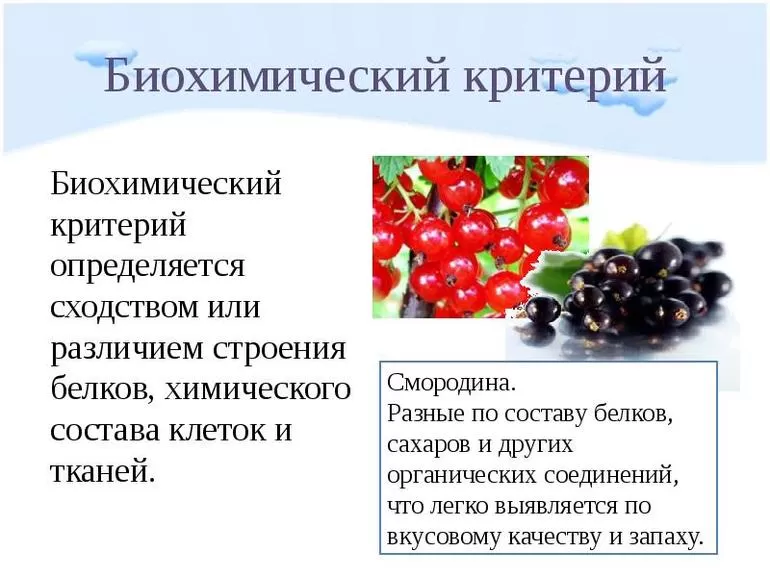 Критерии вида