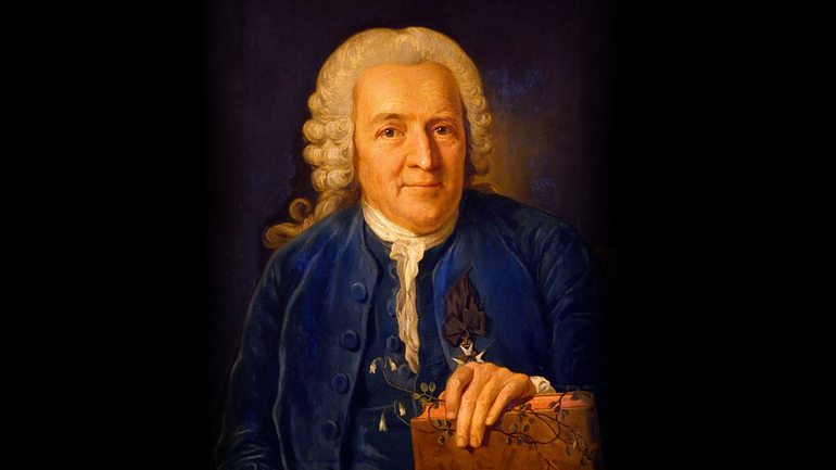 Карл Линней (Швеция, 1724—1804)